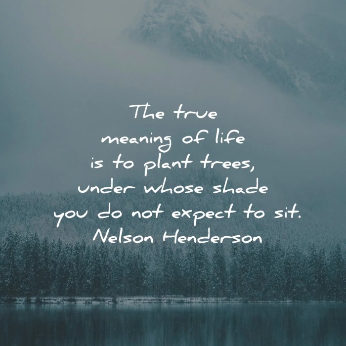 63 Meaning Of Life Quotes