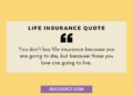 21+ Quotes About Life Insurance (Insurance Quotes) - Succedict